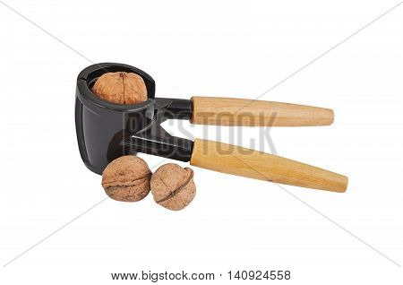 Nutcracker And Nut