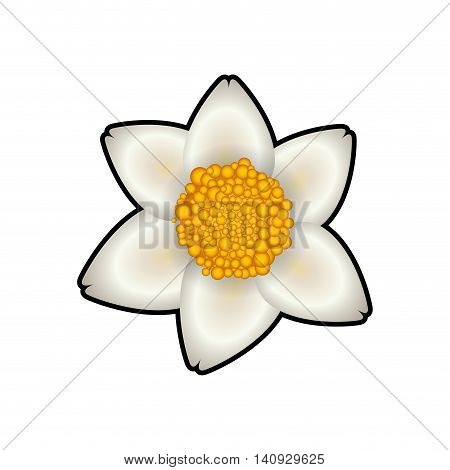 Nature garden decoraton concept represented by flower icon. Isolated and flat illustration