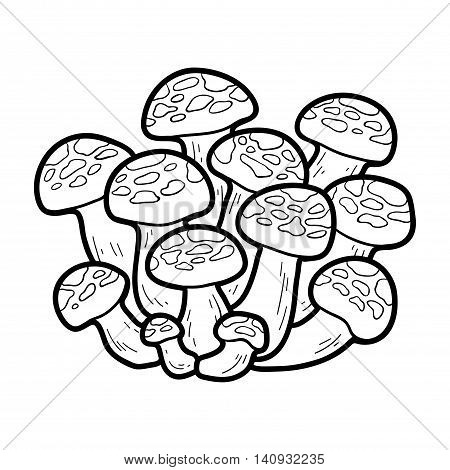 Coloring Book. Japanese Edible Mushrooms, Bunashimeji