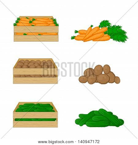 Vegetables in wooden boxes isolated on white background. Carrots, potatoes and cucumbers. Organic food illustration. Fresh vegetables from the farm.