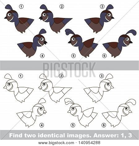 The design difference. Vector visual game for kid education. Simple level of difficulty. Easy educational game. Task and answer. Find two similar Quails.