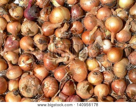 Pile of raw ripe onions. Background, texture