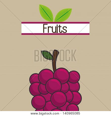 fruit fresh food icon vector illustration eps 10