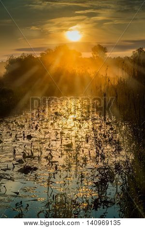 Early Sunny Morning At The River Morava