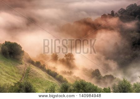 Beautiful Alpine Meadow With Green Grass. Landscape On Wild Transylvania Hills. Holbav. Romania. Low