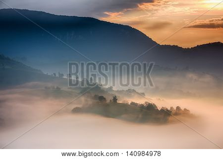 Beautiful Alpine Meadow With Green Grass. Landscape On Wild Transylvania Hills. Holbav. Romania. Low