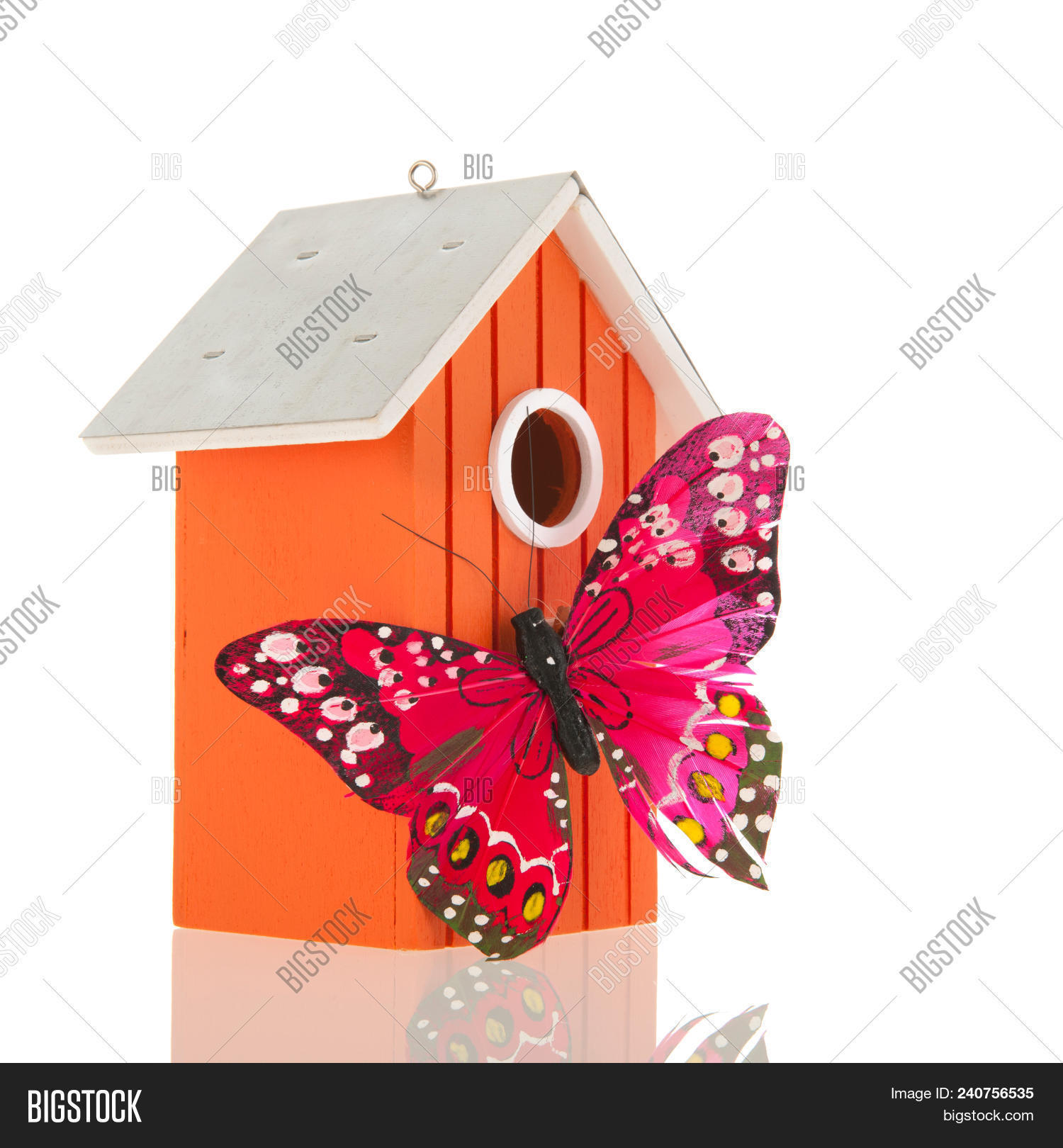 Nesting Box Butterfly Image & Photo (Free Trial) Bigstock