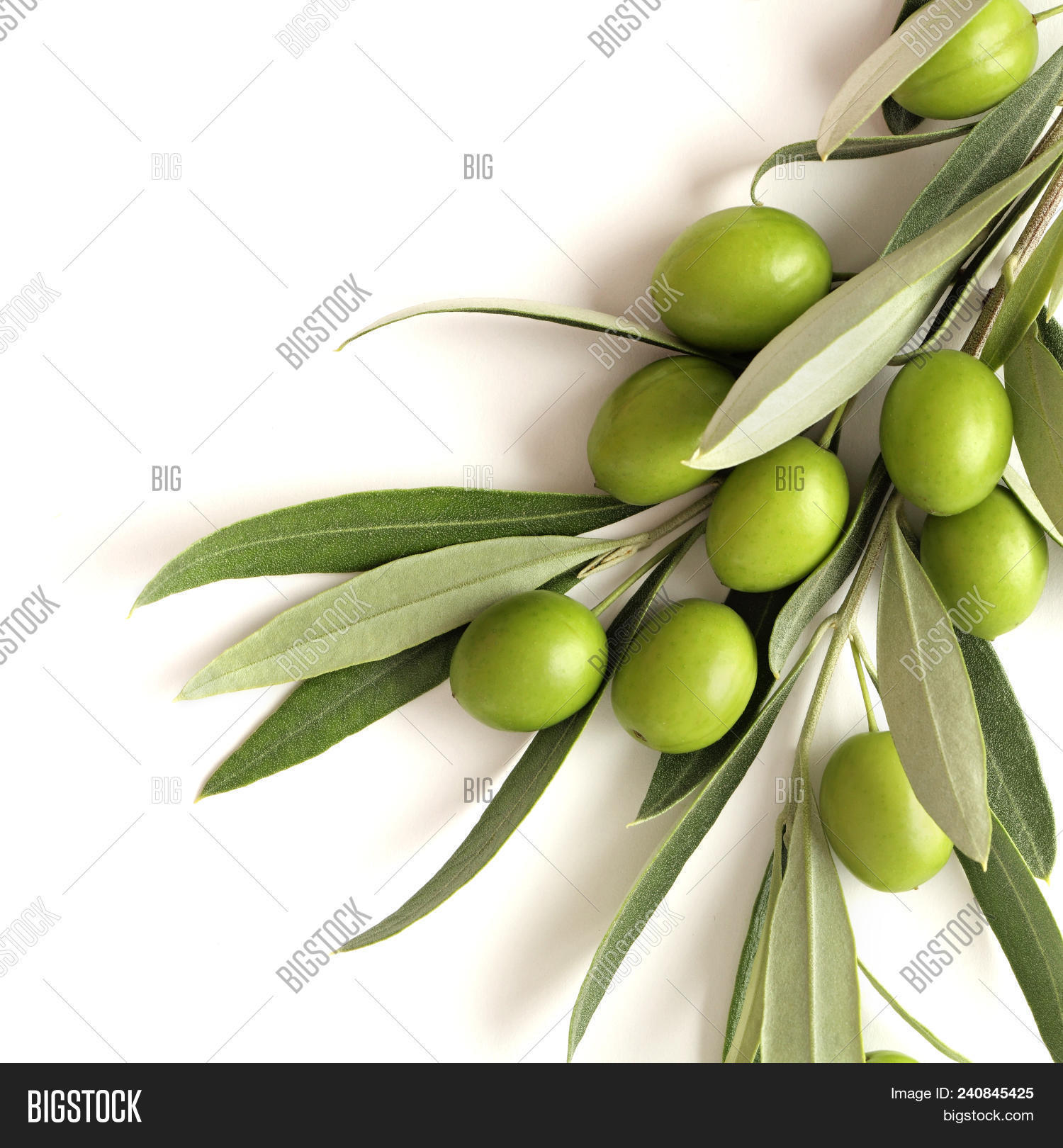 олива магна. белые оливки. белые маслины. белые маслины. что такое оливы маслины.