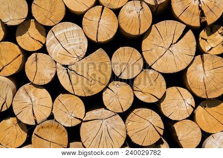 Pile Of Worked Wooden Roundish Clear Beautiful Logs, Stacked Firewood