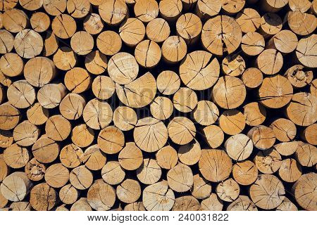 Pile Of Worked Wooden Roundish Clear Beautiful Logs, Stacked Firewood