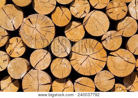 Pile Of Worked Wooden Roundish Clear Beautiful Logs, Stacked Firewood