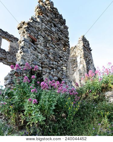 The Ruins Of The Fortress In Southern Italy, In The Picturesque Town Of Santa Maria Del Cedro, The R
