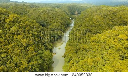 Aerial View, River In The Rainforest Among The Jungle Tropical Loboc River In The Rain Forest In Asi