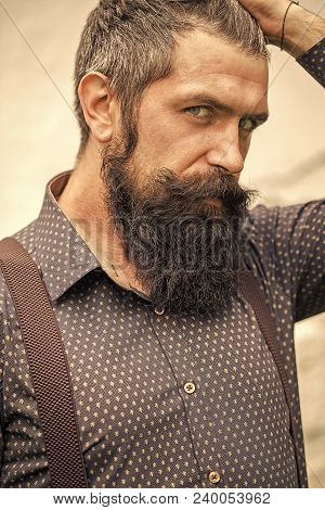Closeup View Of One Handsome Senior Stylish Man With Black Hair And Long Lush Beard In Blue Shirt St