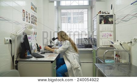 Doctor Woman Working With A Microscope In Laboratory. Female Scientist Looking Through A Microscope 