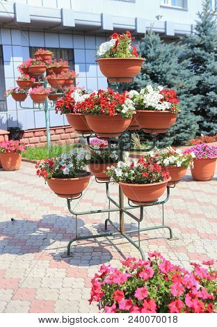 Flowers In Metal Cache-pots Near Building Photo