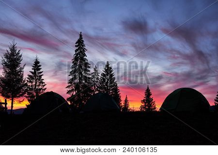 Majestic Sky, Pink Cloud Against The Silhouettes Of Pine Trees In The Twilight Time, Tents On The Fr