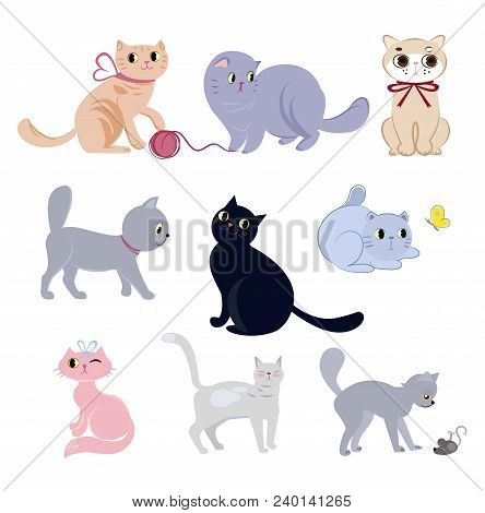Set Of Cute Funny Cats With Their Daily Activities