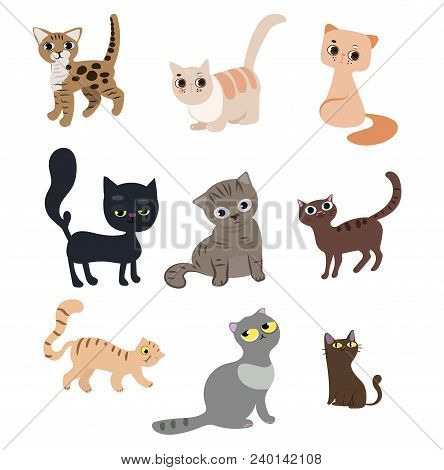 Set Of Cute Funny Cats With Their Daily Activities