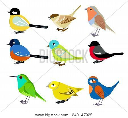 Seth Of Beautiful Colorful Birds That Fly To Warm Countries When It Comes Cold