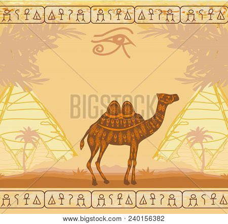 Vintage Background With Pyramids Giza And Camel , Vector Illustration