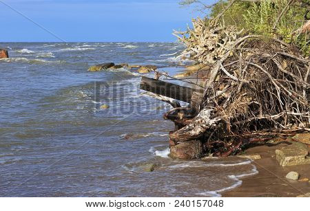 The Baltic Sea Wild Coastline In Northern Estonia Near To Ontika. Steep Shore Of Baltic Sea. Dropped