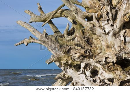 The Baltic Sea Wild Coastline In Northern Estonia Near To Ontika. Steep Shore Of Baltic Sea. Dropped