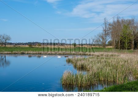 Pond On Danish Island Of Langoe On A Spring Day