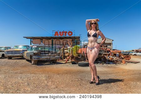 A beautiful blonde bikini model posing in a auto salvage yard.