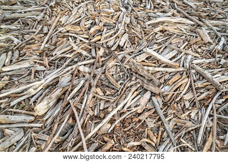 background and texture of drift wood on a river shore
