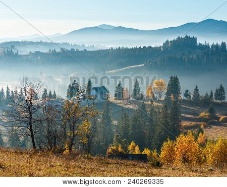 First  Sunrise Rays Of Sun And Shadows Through Fog And Trees On Slopes. Morning Autumn Carpathian Mo