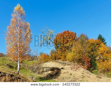 Autumn Carpathian Mountains Landscape With Multicolored Trees On Slope (rakhiv District, Transcarpat