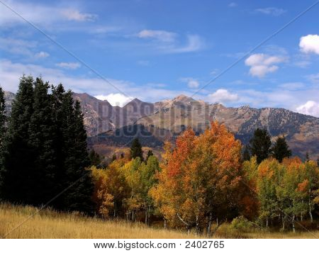 Herfst kleuren