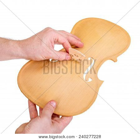 Luthier Showing The Right Position Of The Bridge On Violin Belly