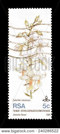South Africa - Circa 1981 : Cancelled Postage Stamp Printed By South Africa, That Shows Forest Dwell