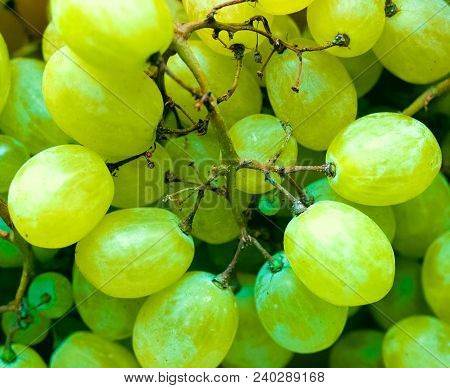 White Grape Fruit Food