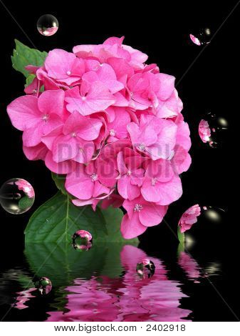 Blomstrende bobler