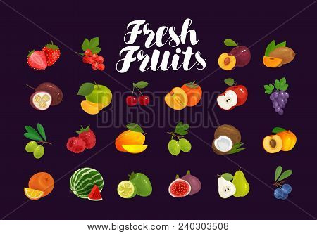 Fruits And Berries, Set Of Icons. Food, Greengrocery, Farm Concept Vector