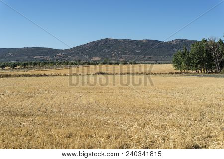 Stubble Fields In An Agricultural Landscape In Ciudad Real Province, Spain.