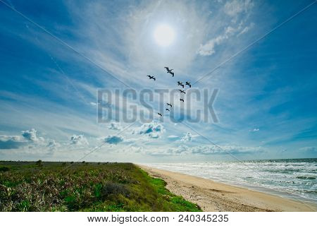Anastasia State Park In Saint Augustine, Florida