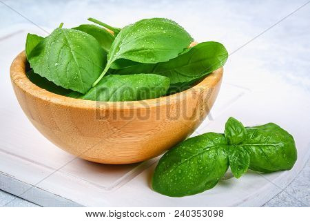 Green Fresh Homemade Basil, Spicy Herb In A Wooden Bowl