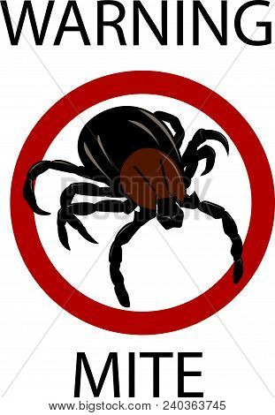 Mite. Insect Parasite Warning Vector Image. Danger Insect.