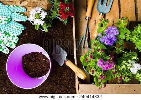 Colorful Flowers And Gardening Tools In The Soil Top View