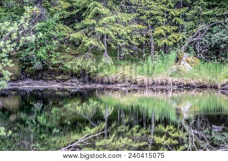 Northern Landscape And Nature In Alaska Panhandle