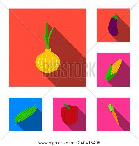 Different Kinds Of Vegetables Flat Icons In Set Collection For Design. Vegetables And Vitamins Vecto