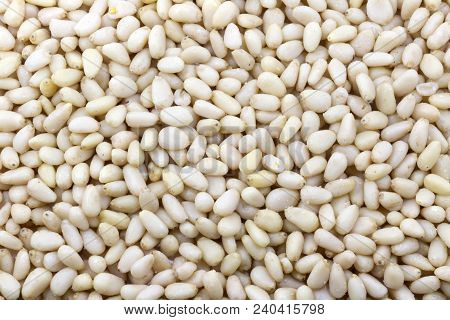 Pine Nuts Background. Close Up Macro Photography Of Expanded Heap Of Beige Shelled Nuts.