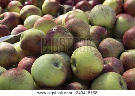 Coxes Apple In Wooden Box On Market For Sale