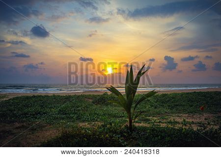 Sunset On The Shores Of The Indian Ocean, Bentota, Sri Lanka