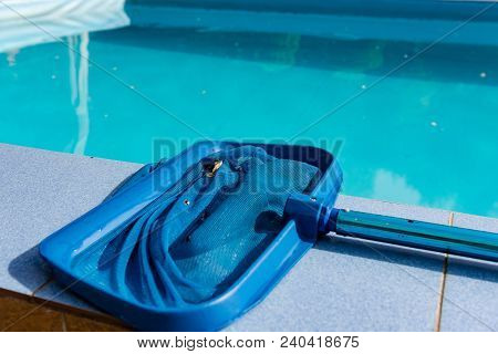 Close Up Of Net Cleaner On Pool Tile. Cleaning Tool Lay On Blue Swimming Pool Outdoors