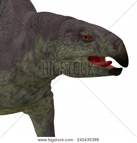Lotosaurus Dinosaur Head 3d Illustration - Lotosaurus Adentis Was A Herbivorous Poposauroid Dinosaur